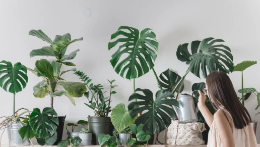 Casa Decor